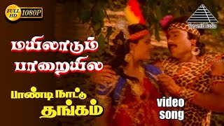 மயிலாடும் பாறையிலே HD Video Song  பாண்டி நாட்டு தங்கம்  கார்த்திக்  நிரோஷா  இளையராஜா [upl. by Eissolf]