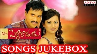 Mr Pellikoduku Mr పెళ్ళికొడుకు Telugu Movie Full Songs Jukebox  Sunil Isha Chawla [upl. by Freya39]