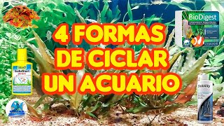 4 FORMAS DE HACER UN CICLADO [upl. by Pelagia]