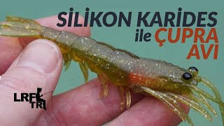 Silikon Karides ile Çupra Avı Pro Lure Clone Prawn [upl. by Atat]