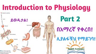 Endocrine System Physiology Part 2 Amharic Speech Video with Clear Explanations [upl. by Wenda]