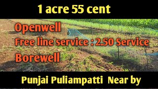 1 acre 55 cent Land for salePunjai Puliampatti8248664904 [upl. by Chatav]