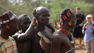 Bull Jumping Ritual  Hamar Tribe Ethiopia [upl. by Jael653]