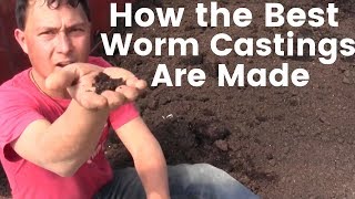 How the Best Worm Castings are Made that Can Double Your Harvest [upl. by Huberty]