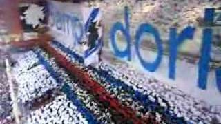 unaltra volta forza Sampdoria [upl. by Miran]