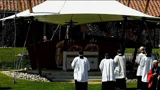 The National Pilgrimage Angelus and Pilgrimage Mass [upl. by Rubbico]