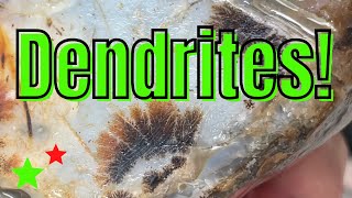 STUNNING Dendrites in Waterline AGATE  Six Mile Rock Hunt for Montana Agates [upl. by Vitalis]