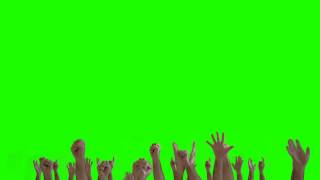 Hands Crowd  Green Screen Animation [upl. by Sven]