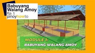 How to Raise Pigs Babuyang Walang Amoy or Odorless Pigpen Episode 1  Pinoy How To [upl. by Aidualc924]