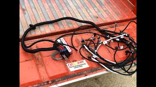 LS Swap Gets New Wiring Harness EASY Install [upl. by Nosle]