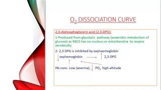 Respiratory system Lecture 3 [upl. by Wiskind648]