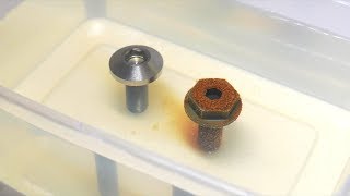 Steel VS Titanium Bolt Rust Test  Timelapse [upl. by Isyed958]