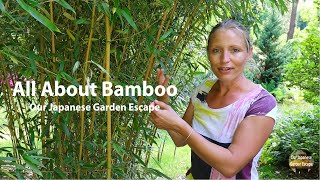 How to Grow Maintain and Control Bamboo  Our Japanese Garden Escape [upl. by Elehcir]