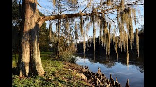 Bayou Teche Scenic Byway [upl. by Abramo]