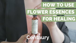 How to use Flower Essences for Healing [upl. by Bollinger]