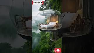 MindBlowing Bubble House Nestled in Nature  Heavy Rain Sounds to Relax Your Soul rainfall asmr [upl. by Ettelra]