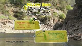 Planer Board Instructional Yellow Bird [upl. by Ahcsat]