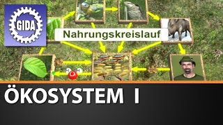 Trailer  Ökosystem I  Biologie  Schulfilm [upl. by Emmer]