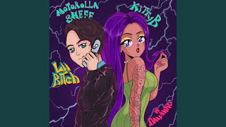 Lil Bitch [upl. by Naimerej]