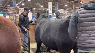 2023 Canadian Western Agribition Show Regina [upl. by Grayce]