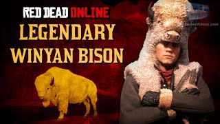 Red Dead Online  Legendary Winyan Bison Location Animal Field Guide [upl. by Tolley]