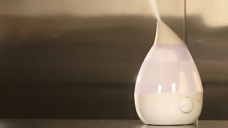 Humidifier Buying Guide Interactive Video  Consumer Reports [upl. by Yelrahs]