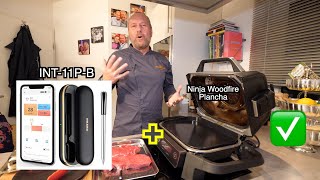 Inkbird Wireless BBQ Thermometer  Ninja Woodfire Plancha  Steak mit Sauce [upl. by Bloxberg]