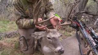 Early Morning Crossbow Hunt for Whitetail [upl. by Alliw]