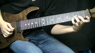 Animals As Leaders CAFO Cover [upl. by Anahsak]