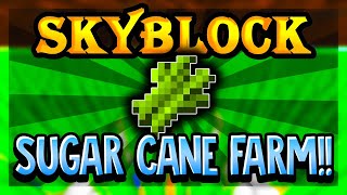 How to Build an EFFICIENT Sugarcane Farm in Hypixel Skyblock [upl. by Atinnek587]