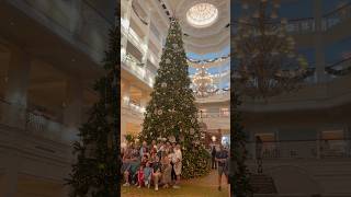 Grand Floridian Christmas [upl. by Norok]