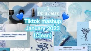 Tiktok mashup January 2023 clean [upl. by Aydiv302]