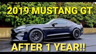 2019 Mustang GT ONE YEAR REVIEW MY DAILY DRIVER [upl. by Pytlik136]