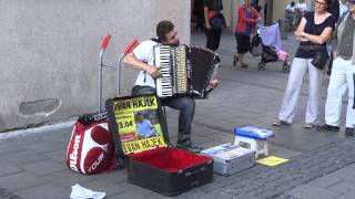 Awesome accordion player [upl. by Doty109]