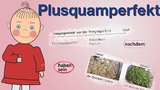 Plusquamperfekt  Deutsch lernen  Niveau B1B2  HD [upl. by Fricke]