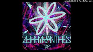 TAG  ZEPHYRANTHES [upl. by Claus875]