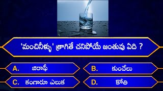 Interesting Questions In TeluguEpisode4By Rk thoughtsUnknown FactsGeneral KnowledgeTelugu Quiz [upl. by Semela259]