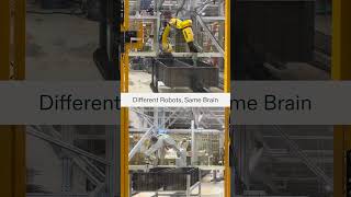 Our universal AI the Covariant Brain powering ABB and Fabuc robots simultaneously [upl. by Furtek123]