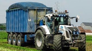 BCMH spinazieoogst 2013  2 x Fendt 936 White  Vandewalle en Demeulemeester [upl. by Yesteb]