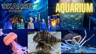 Aquarium Skansen Sweden [upl. by Walling]