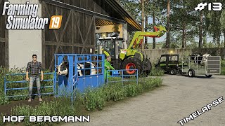 Breeding COWS PIGS and CHICKEN with kedex  Hof Bergmann  Farming Simulator 19  Episode 13 [upl. by Jacey39]