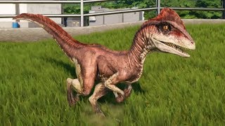 Jurassic World Evolution  Deinonychus Gameplay PS4 HD 1080p60FPS [upl. by Ahseya]