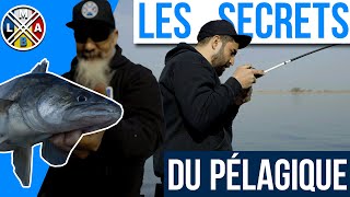 Une session incroyable ils vous expliquent tout sur la pêche en pélagique [upl. by Sletten]