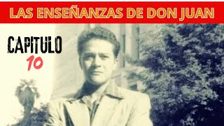 Las Enseñanzas de Don Juan I Carlos Castaneda  Capitulo 10 [upl. by Hazen]