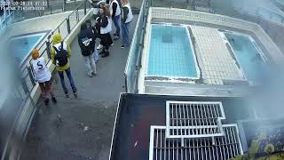 Seals live 4K  Phase 2  Seal Rehabilitation and Research Centre Pieterburen The Netherlands [upl. by Eellah]