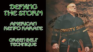 Defying The Storm American Kenpo Karate Green Belt [upl. by Eerej]