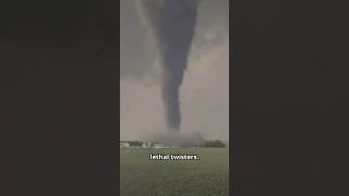 Tornadoes How They Form and What Makes Them So Powerful [upl. by Chernow]