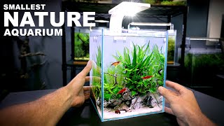 Aquascape Tutorial TINY 26 gal NATURE Aquarium How To Step By Step Nano Tank Guide [upl. by Anirbys]