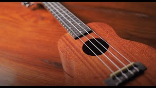 Kadence Wanderer  Soprano 21 inch Ukulele  Unboxing and Demo [upl. by Hewe]