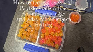 How to tye Egg Sacs for STEELHEAD using Pautzke balls o fire trout eggs amp atlas mikes spawn netting [upl. by Ymled332]